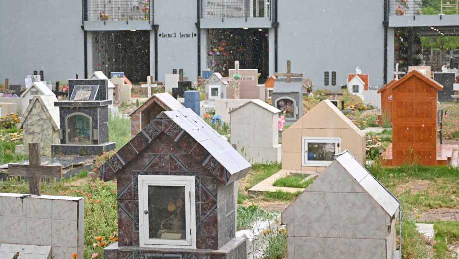 Los arrendatarios tendrán un plazo de 15 días para regularizar su situación. Foto: Flor Salto, archivo.