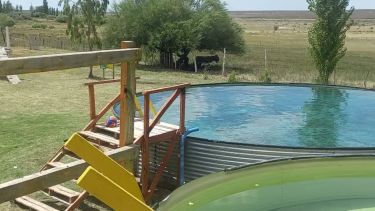 Turismo cerca: un cámping agreste para pasar el día y &#8216;resetearte&#8217; en la Línea Sur de Río Negro