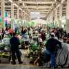 Imagen de Chivito criollo y trucha patagónica: cuándo y a qué precio se venderán en el Mercado Concentrador de Neuquén