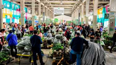 Chivito y trucha patagónica: cuándo y a qué precio se venderán en el Mercado Concentrador de Neuquén