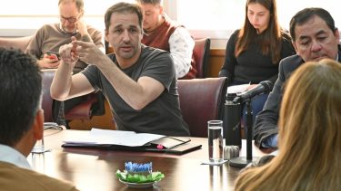 Claudio Domínguez es el autor del proyecto de ley. Foto Cecilia Maletti.