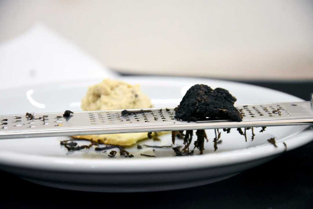 Trufa negra, un manjar de la gastronomía. Foto: Cecilia Maletti.