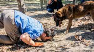 No es petróleo: el «oro negro» oculto bajo el suelo de la Patagonia