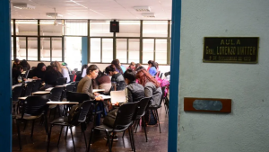 «Nadie se salva solo»: la emotiva carta de una profesora de la Universidad del Comahue tras el veto de Milei