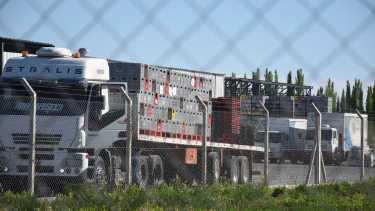 La firma robada se encuentra en la zona de J.J. Gómez. (Foto Juan Thomes)