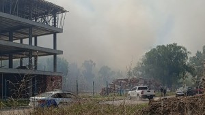 Gran incendio forestal en Plottier: Bomberos trabajaron en el lugar y hubo demoras en el tránsito