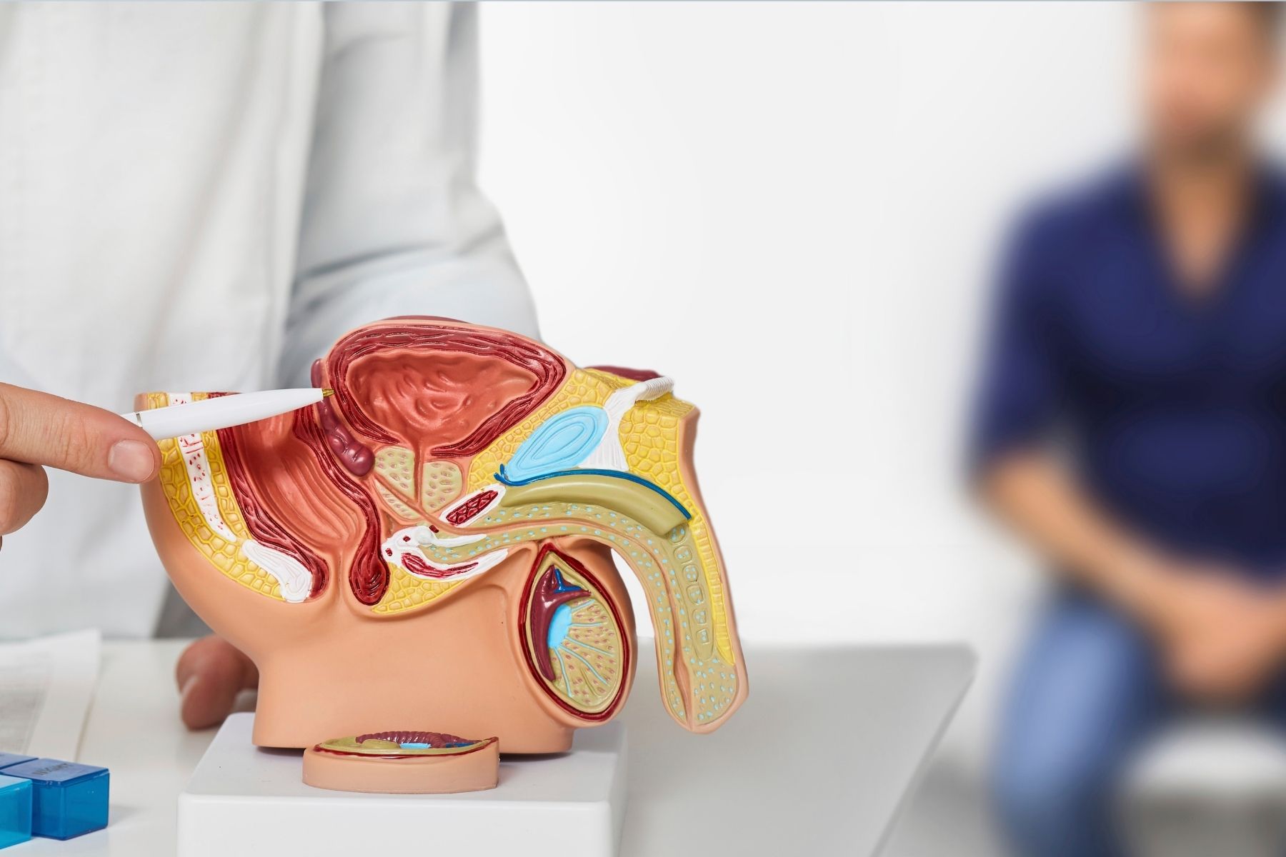 Cáncer de próstata: más del 70 % de los casos podrían tratarse con éxito si se detecta a tiempo