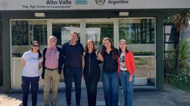 Cannabis medicinal y uso del cáñamo: un proyecto que se está gestando en la Universidad del Comahue y el INTA