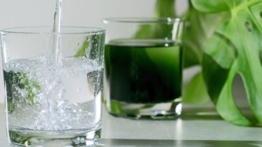 Durante la primavera, algunas plantas necesitan sustratos para crecer más fuertes. 