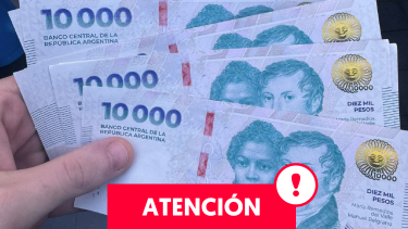 Plazo fijo en el BPN y en los mayores bancos del país: sigue la baja de tasas en la primera semana de noviembre 2024