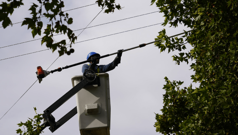 CALF anunció cortes de luz este domingo en Neuquén. Foto: gentileza
