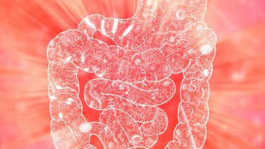 95% de nuestras bacterias viven en el tracto digestivo, sobre todo, en el colon.
