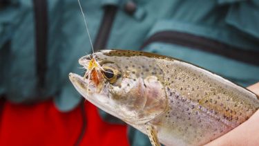 San Martín recibirá una exposición sobre pesca con mosca. Foto: Archivo