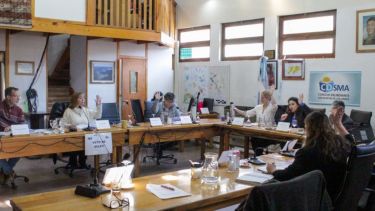 El Deliberante  de San Martín de los Andes no apoyó una iniciativa en contra del estacionamiento medido. Foto: Archivo Concejo Deliberante