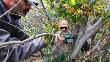 Uno de los equipos fue retirado de la zona de un mallín. Foto: gentileza