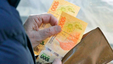 Aguinaldo de Anses en diciembre 2024. 