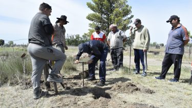 La necesidad de mano de obra calificada es notoria en el agro rionegrino.