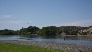 Regina capital del turismo rural: así podés conectarte con la producción