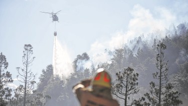 Incendios forestales: pedido solidario y llamado a la reflexión