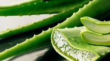 Imagen de Aloe vera | Cómo aplicarla en la cara para hidratar la piel: un truco ideal si estuviste al sol