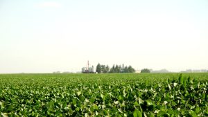 Sorpresa: por qué el campo reapareció con una lluvia de dólares en noviembre