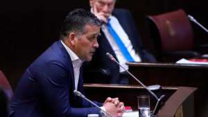 En el MPN piden escuchar a los intendentes que quieren apoyar a los candidatos de Rolando Figueroa