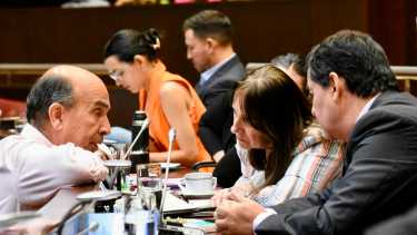 Los diputados realizaron 45 sesiones en el período del 2024. Foto: archivo Matías Subat.