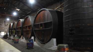 Cobijar al vino: Antonio y el noble oficio del tonelero en las bodegas del Valle