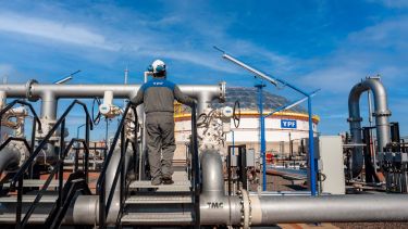 Las exportaciones de la empresa crecieron 111% en la comparación interanual. Foto: gentileza. 