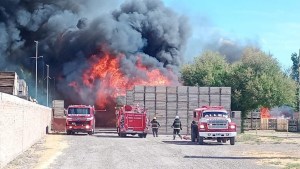 Un voraz incendio destruyó 4000 bines en un frigorífico de Allen