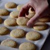 Imagen de Galletas de coco: con el toque justo para que se desarmen en la boca