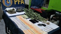 Imagen de Un detenido por cultivo y comercio de marihuana en un barrio de Cipolletti