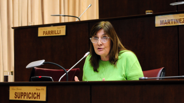 Foto: Legislatura de Neuquén. 