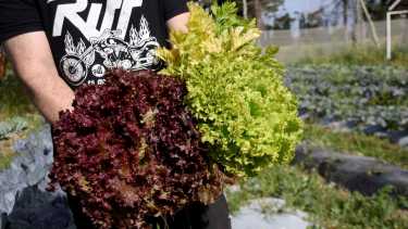¿Cómo apoyar a los pequeños productores y proveer alimentos de calidad en las infancias?