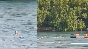 Video | Dramático rescate en Neuquén: guardavidas salvaron a una mujer que era arrastrada por el río Limay