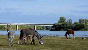 La ordenanza prohíbe urbanizaciones en la franja ribereña y nuevas subdivisiones. Foto archivo. 
