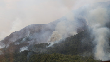 Continúan combatiendo el incendio del parque Nahuel Huapi. Foto: gentileza.
