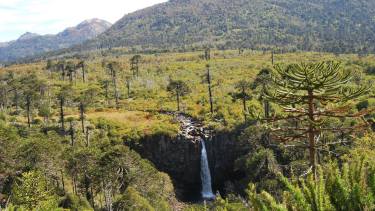 Cascada Coloco, Parque Nacional Lanín. Foto: gentileza.