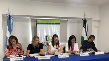 Boleta única de papel en Cipolletti. Gentileza.