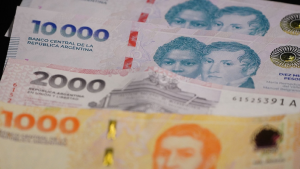 Aguinaldo Anses: cómo sigue el pago a jubilados y pensionados en diciembre 2024