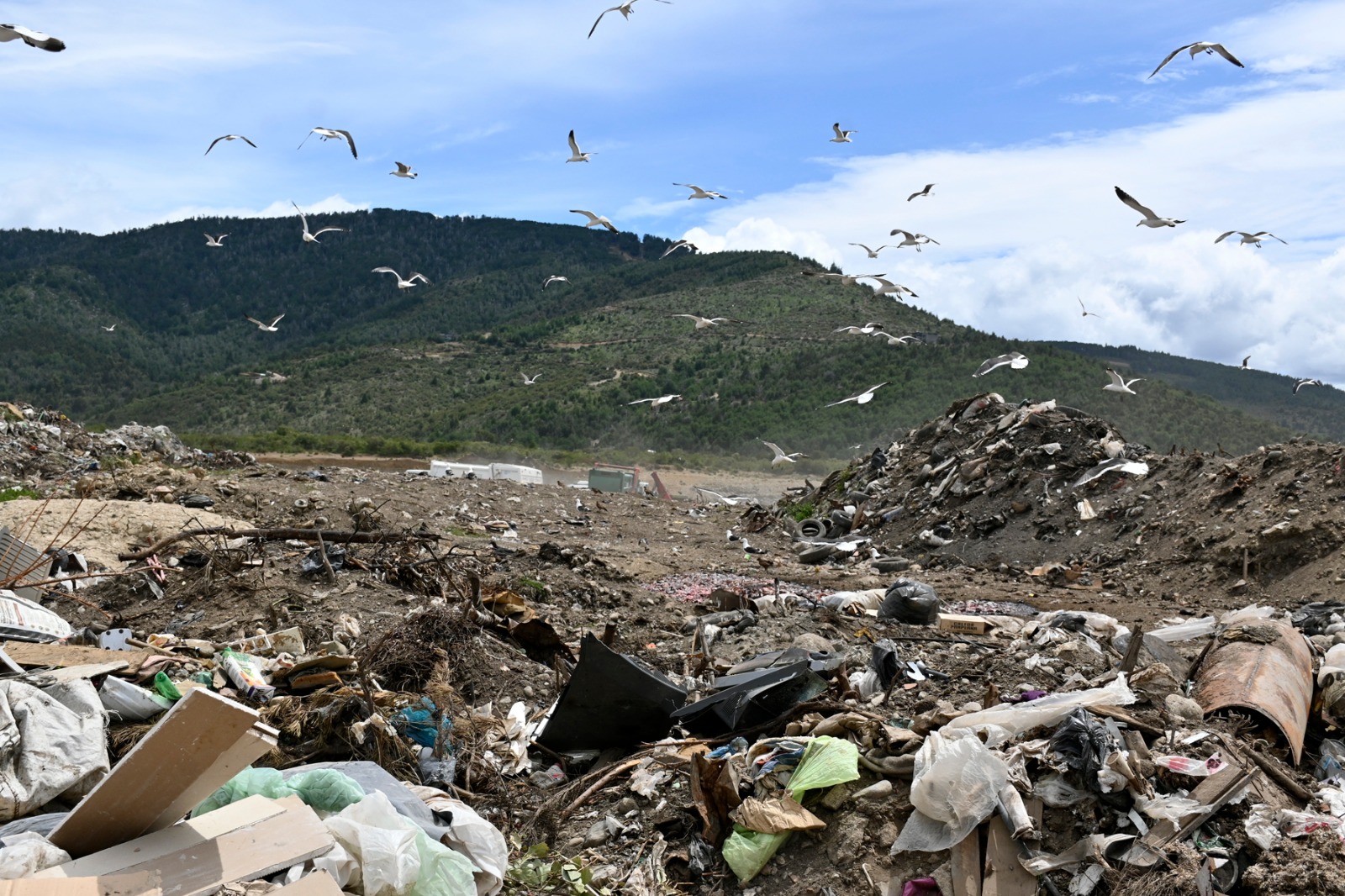 Una firma se hará cargo del basural de Bariloche mediante un millonario contrato