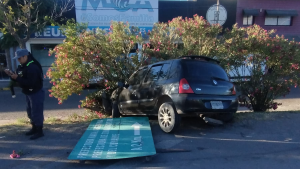 Alcoholizado chocó contra un cartel en la Ruta 22 de Neuquén