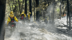 La lluvia no finalizó el incendio forestal de Bariloche y el viento impidió la ayuda aérea