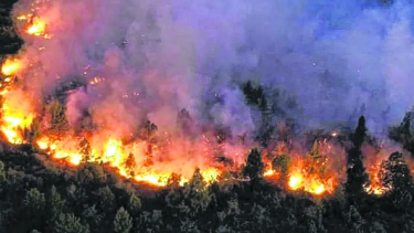 Incendio forestales en Neuquén. Foto: gentileza. 