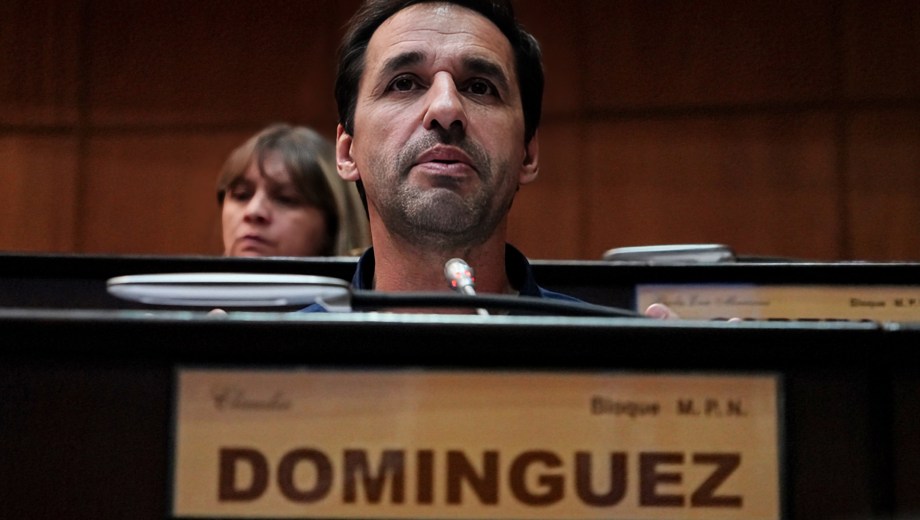Claudio Domínguez es diputado del MPN. Foto Cecilia Maletti.