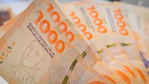 Aumenta el Salario Mínimo, Vital y Móvil: cuánto estará la hora en febrero 2025