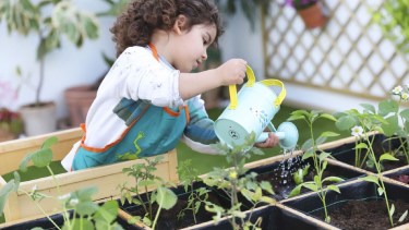 Actividades recreativas durante el verano 2025 en Neuquén
