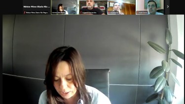 La fiscal Cascallares, durante la audiencia por Zoom de este martes.