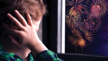 La normativa no solo busca la prohibición absoluta sino también la implementación de campañas de concientización sobre el efecto negativo de los artificios pirotécnicos en personas y animales.