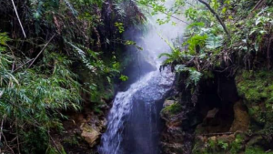 Reabre el paraíso de termas escondido entre San Martín de los Andes y Chile, pero con nuevas reglas